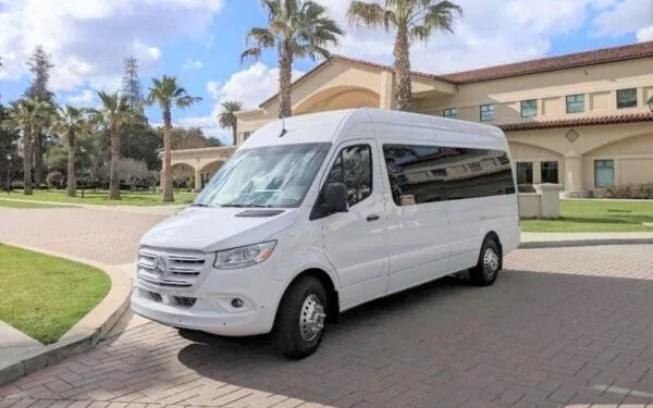 white mercedes benz sprinter van parked near palms
